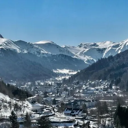 Mont-dore, 2 Pièces, 4 Personnes - Fr-1-415-137 Le Mont-Dore
